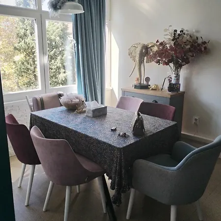 Sophie Dream Appartement